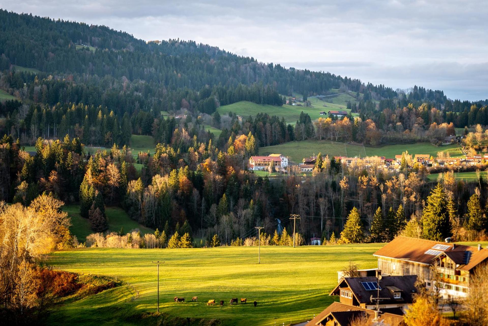 Eibele Apartamento Oberstaufen